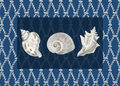 Image Not Available